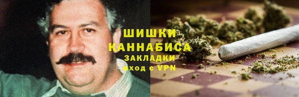 прущие крисы Абаза