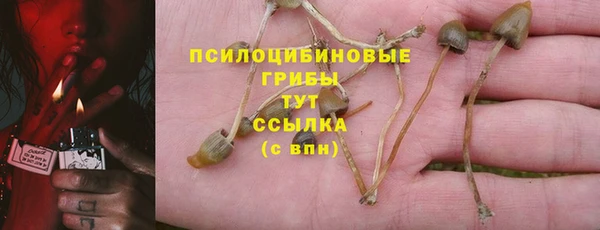 героин Няндома
