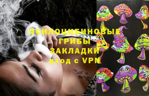 прущие крисы Абаза