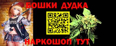 индика Северобайкальск