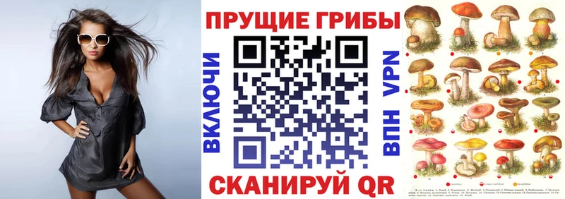Галлюциногенные грибы Magic Shrooms  хочу наркоту  Фрязино 