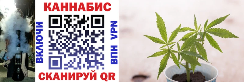 Канабис White Widow  Фрязино 